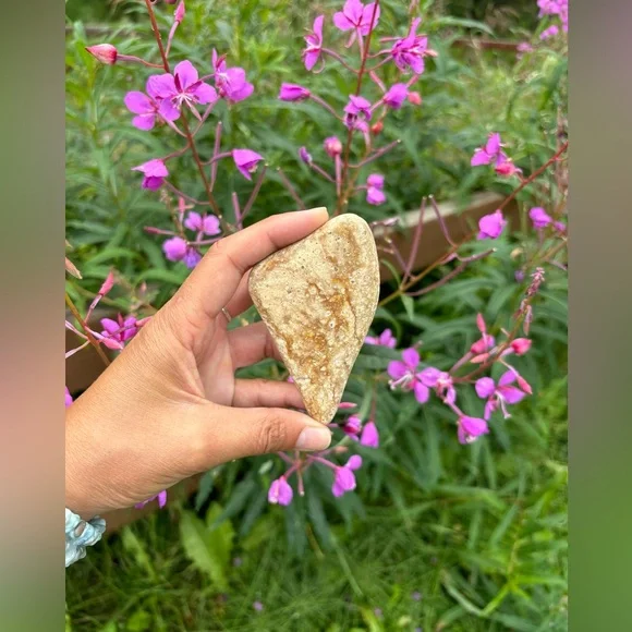 Banded Rhyolite from Alaska - Picture 4 of 5